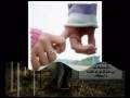 Music video Namt Ala Ktfa - Mohamed Siam