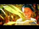 Music video T'm Al-Bywt - Mohamed Mounir