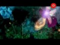 Music video Shkhbt Shkhabyt - Nancy Ajram